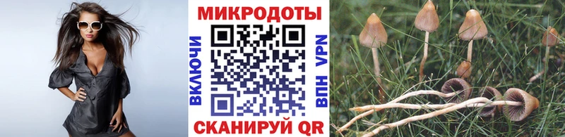 Галлюциногенные грибы мухоморы  наркотики  Новороссийск 